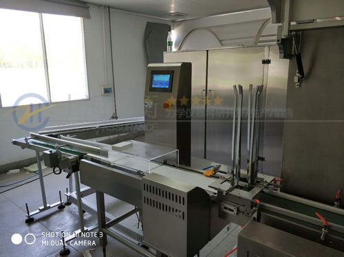 在線稱重剔除秤